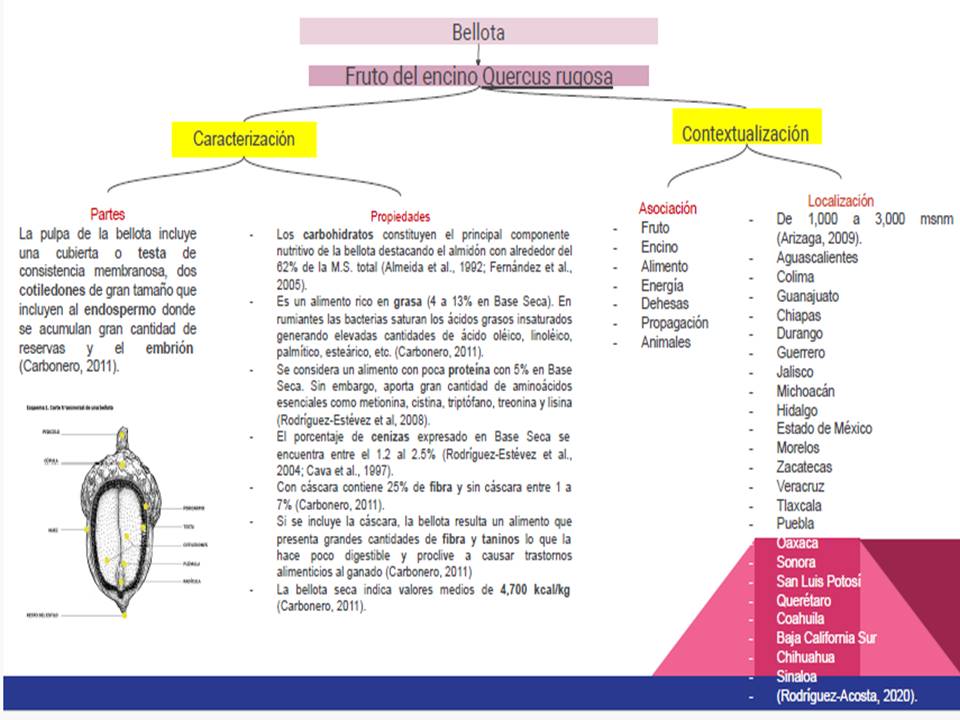 Figura-3
